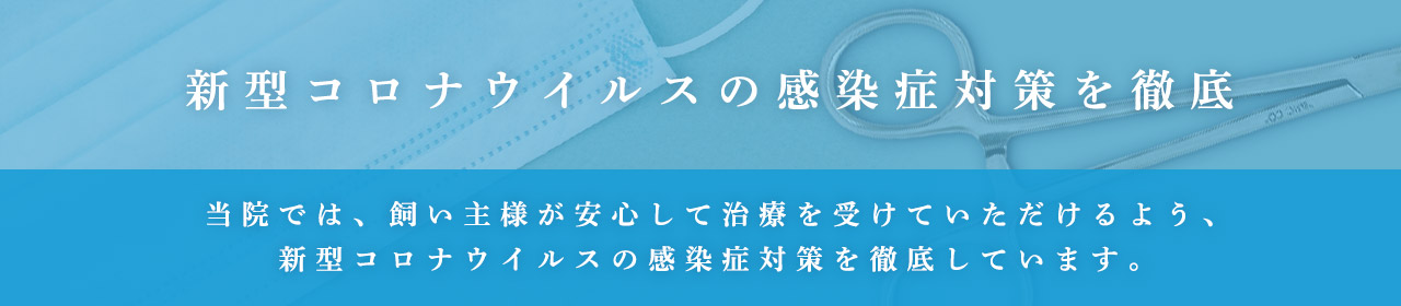 新型コロナウィルスの感染対策を徹底